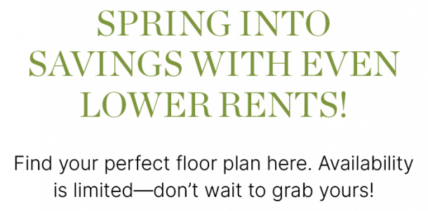 Spring Savings Promotion